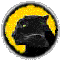 pantherpro logo